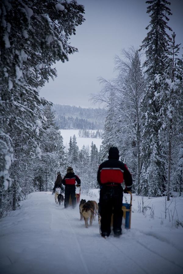 Beana Laponia - Wilderness Boutique Hotel With Safaris Meltaus エクステリア 写真